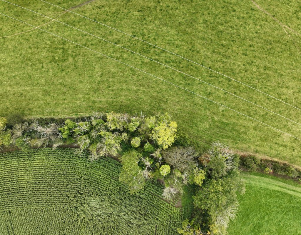 Combining Drone LiDAR and Photogrammetry Case Study 1 Dense vegetation beneath 110 kV power lines showing inaccessible terrain surveyed by drone in Ireland