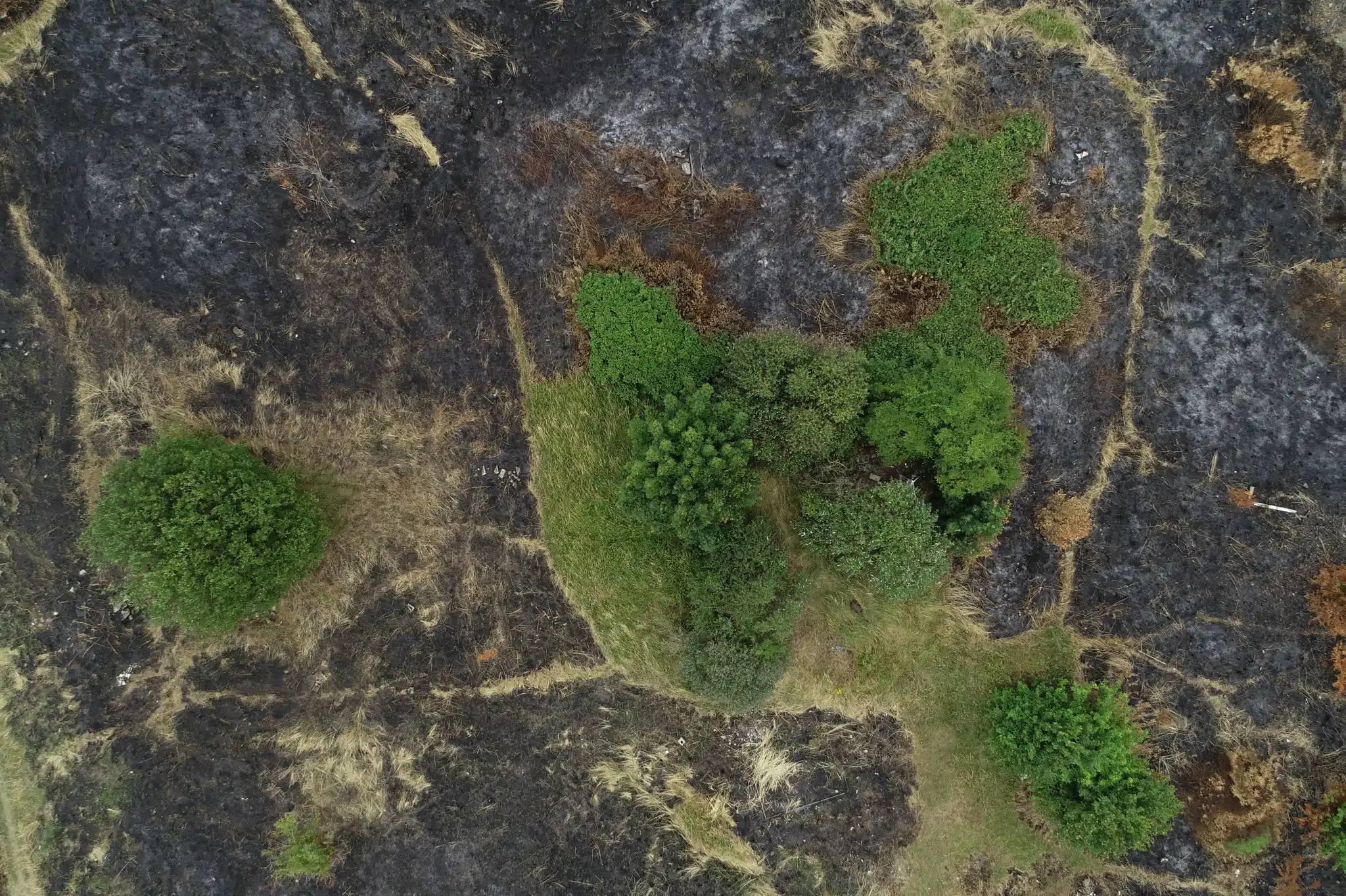 Drone Agricultural Survey Ireland 7 Aerial drone survey bogland vegetation Ireland