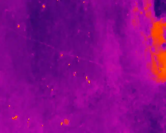 Drone Thermal Imaging 5 Drone thermal wildlife monitoring Ireland